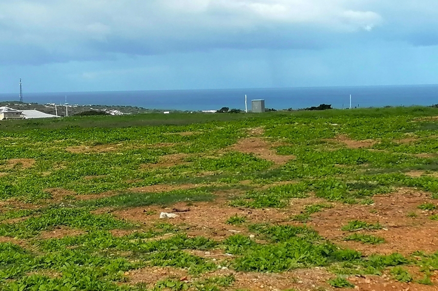 0 Bedroom Property for Sale in Stilbaai Wes Western Cape